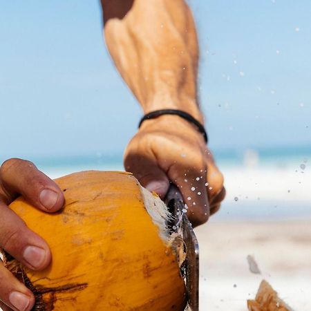 Hotel Boutique Punta Caliza - Adults Oriented Isla Holbox Екстериор снимка