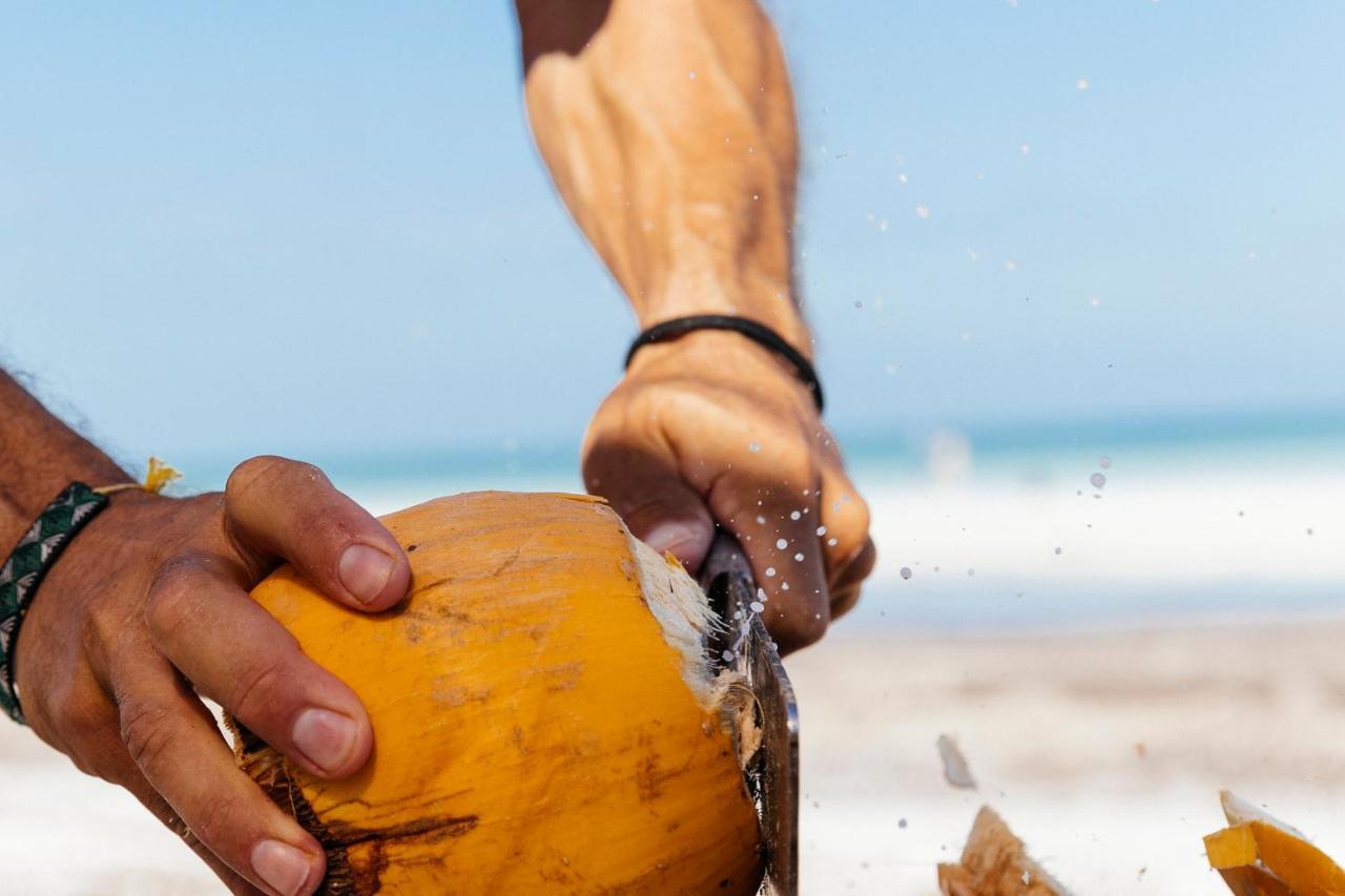 Hotel Boutique Punta Caliza - Adults Oriented Isla Holbox Екстериор снимка